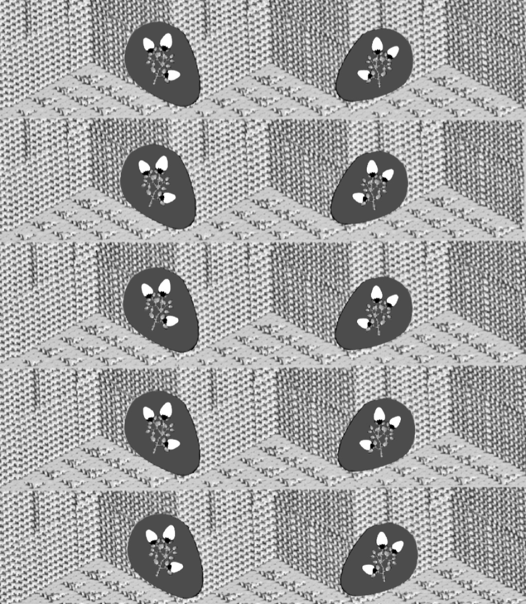 Ovoloval ©️ Ovoloval ©️